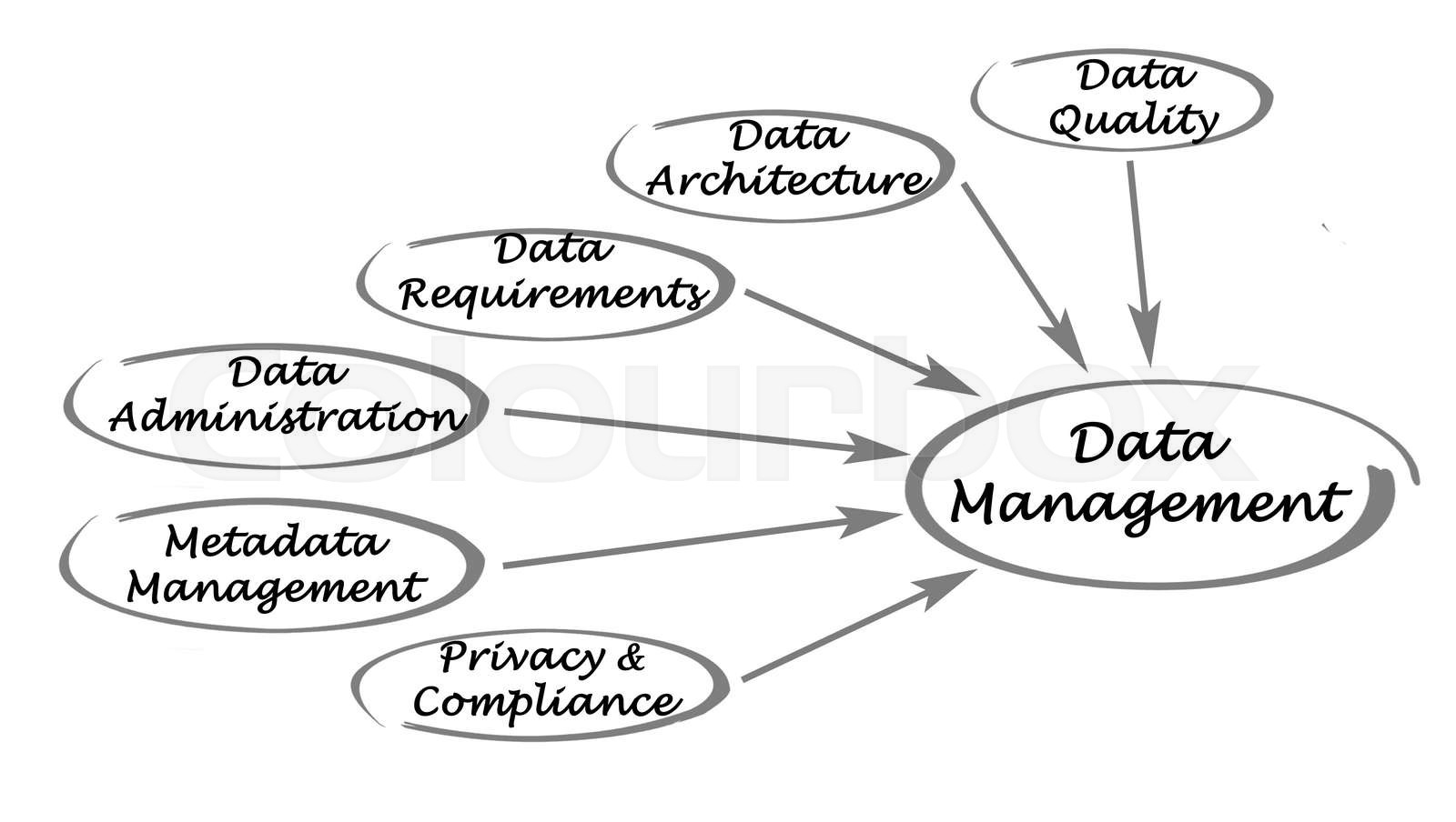 Diagram Of Data Management Stock Image Colourbox