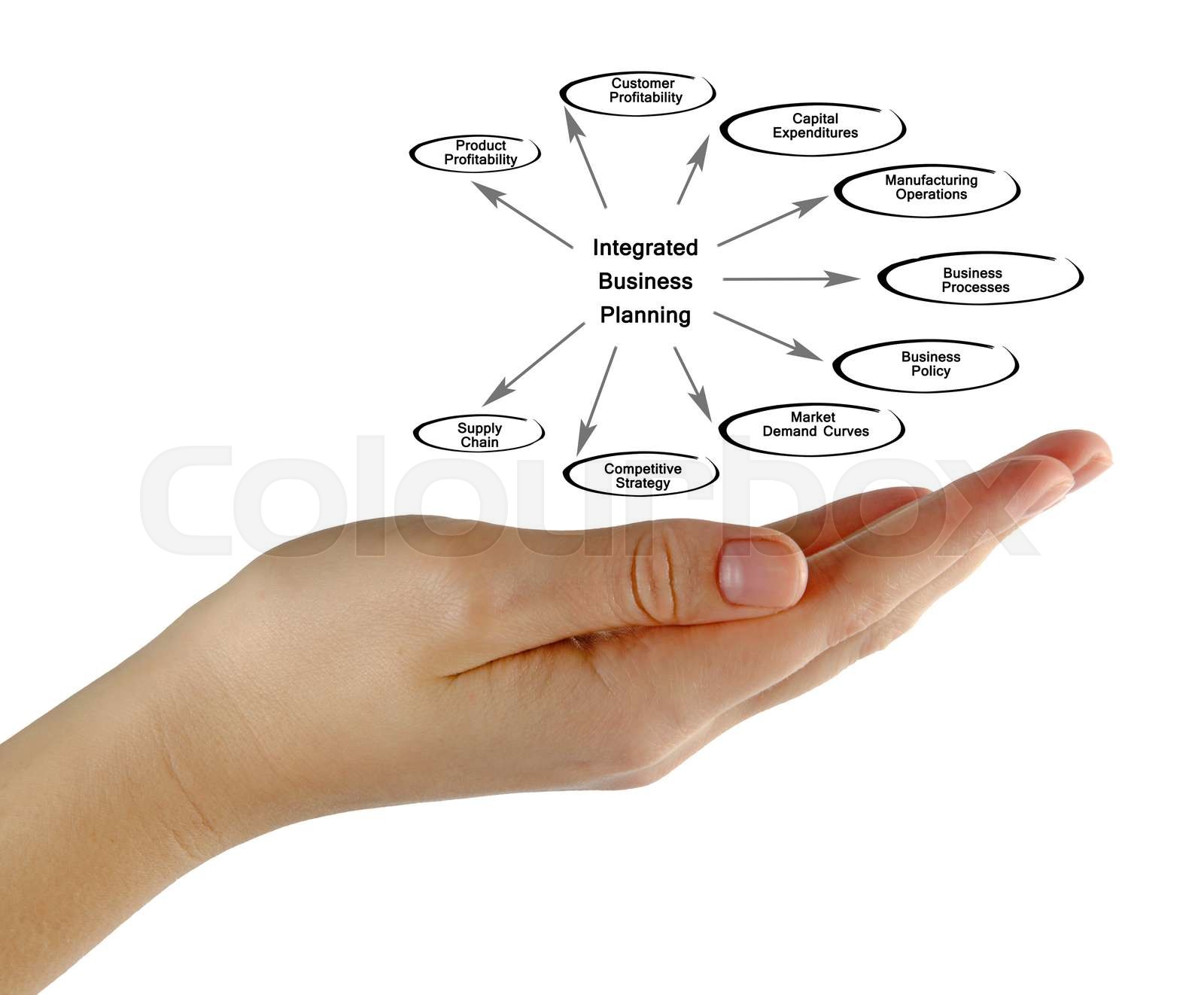 Diagram Of Integrated Business Planning Stock Image Colourbox