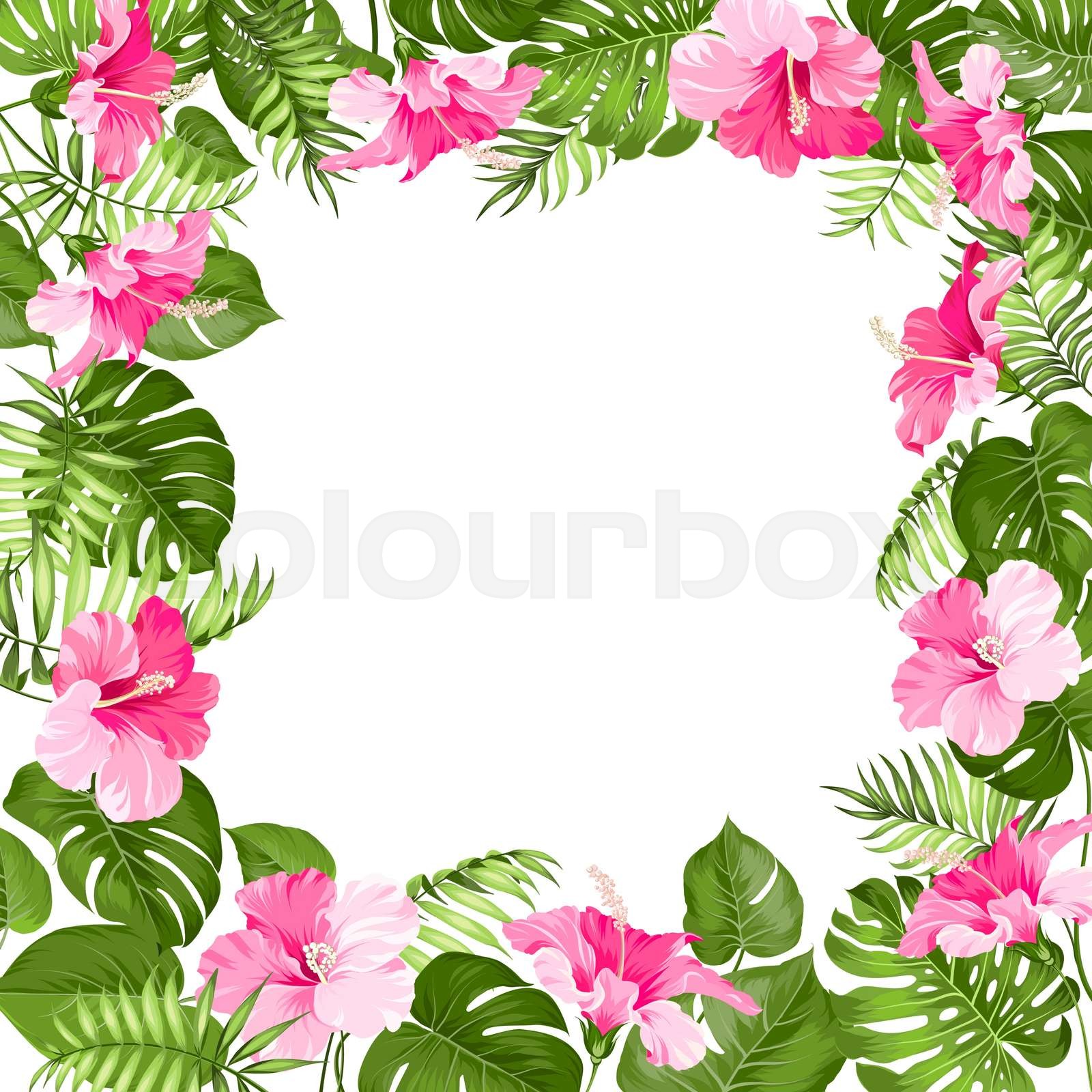 Tropical flower frame. Stock vector Colourbox