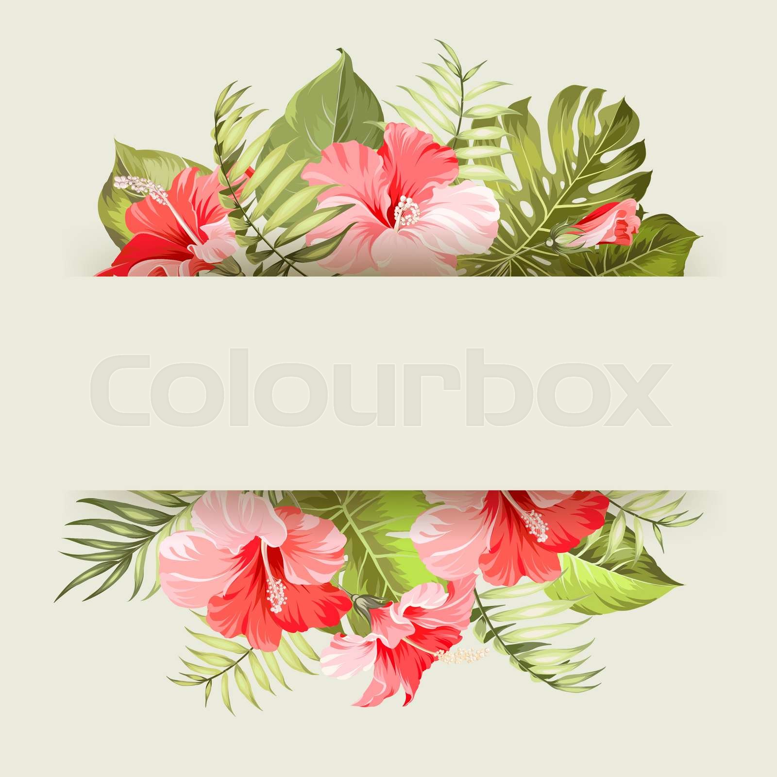 Tropical flower frame. Stock vector Colourbox