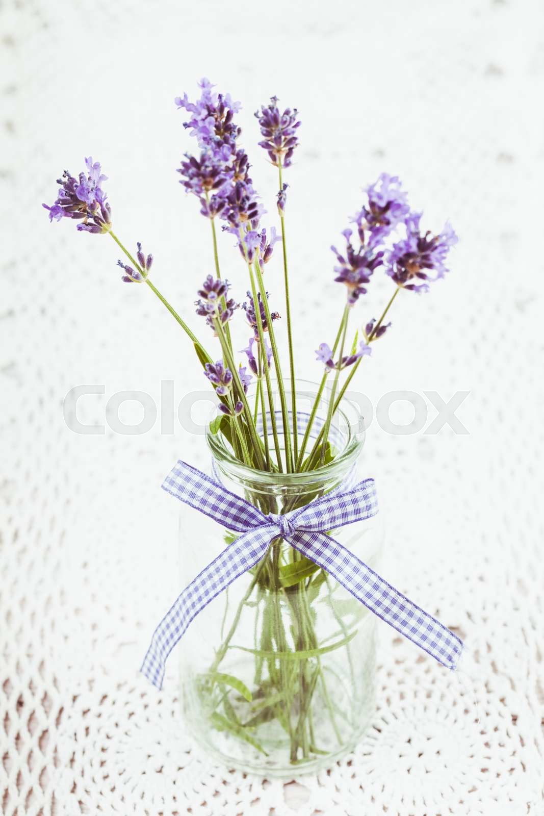 Lavender in bottle | Stock image | Colourbox