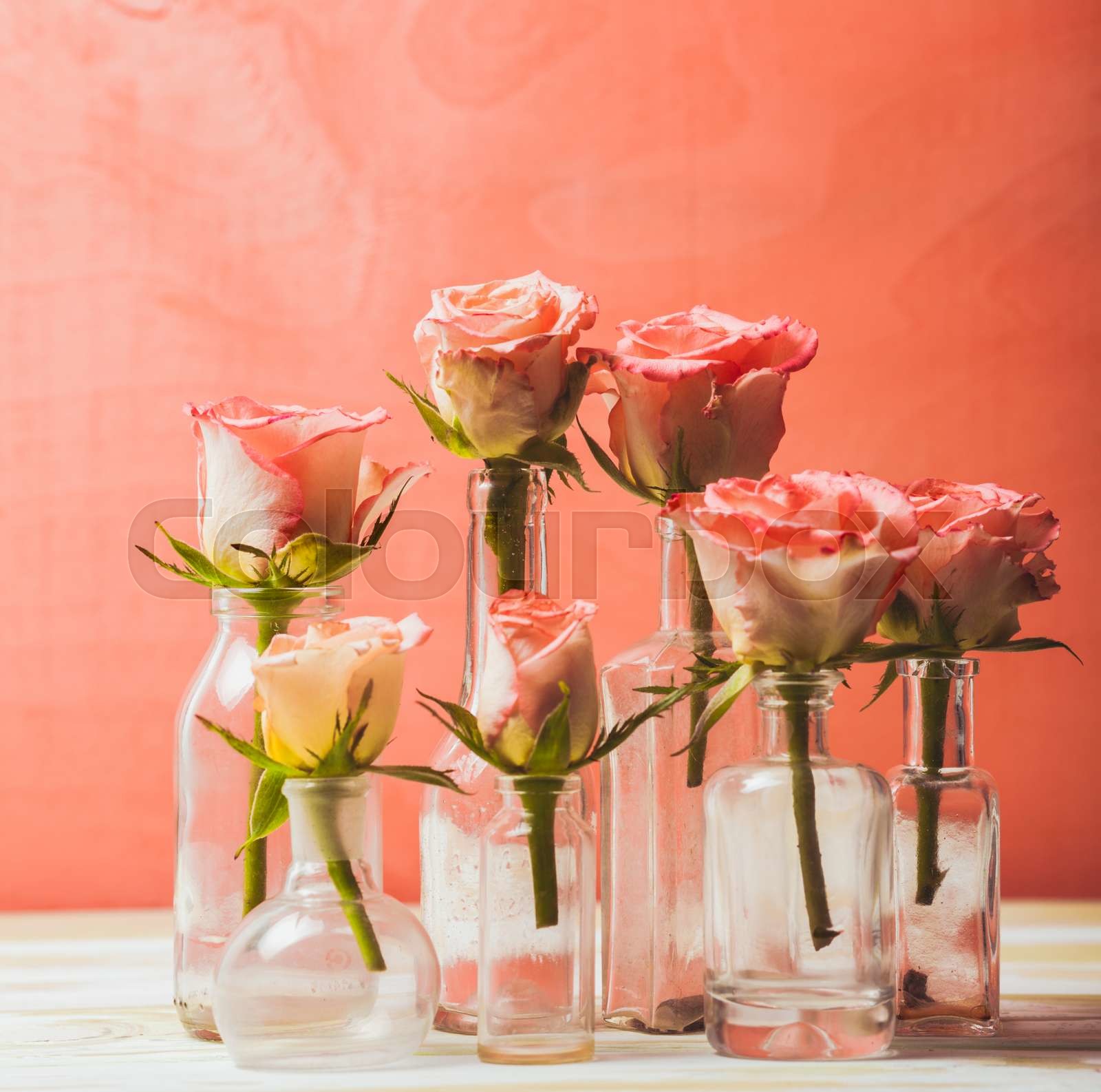 Roses in bottles | Stock image | Colourbox