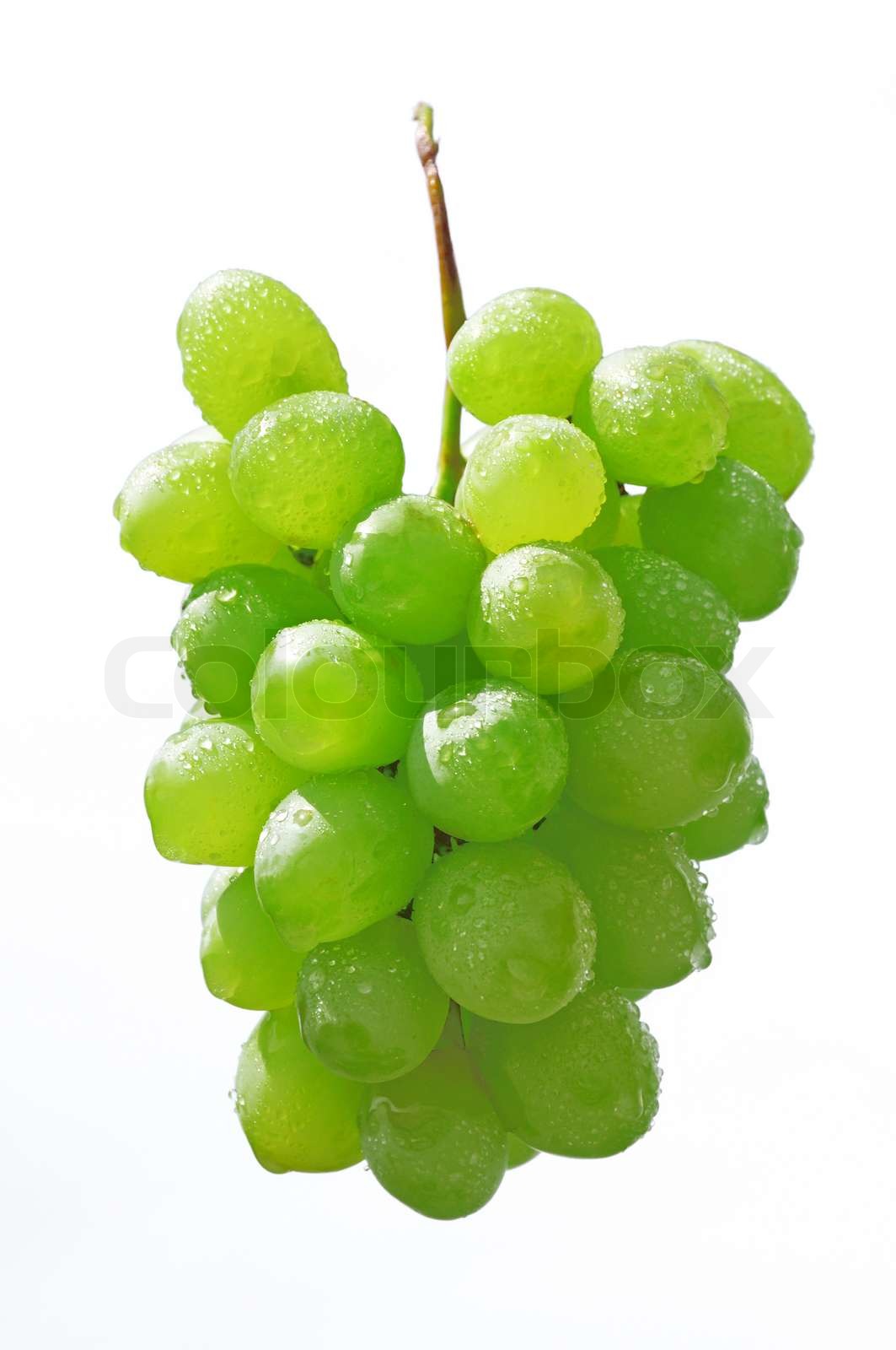 Trauben isoliert auf weißem Hintergrund | Stock Bild | Colourbox