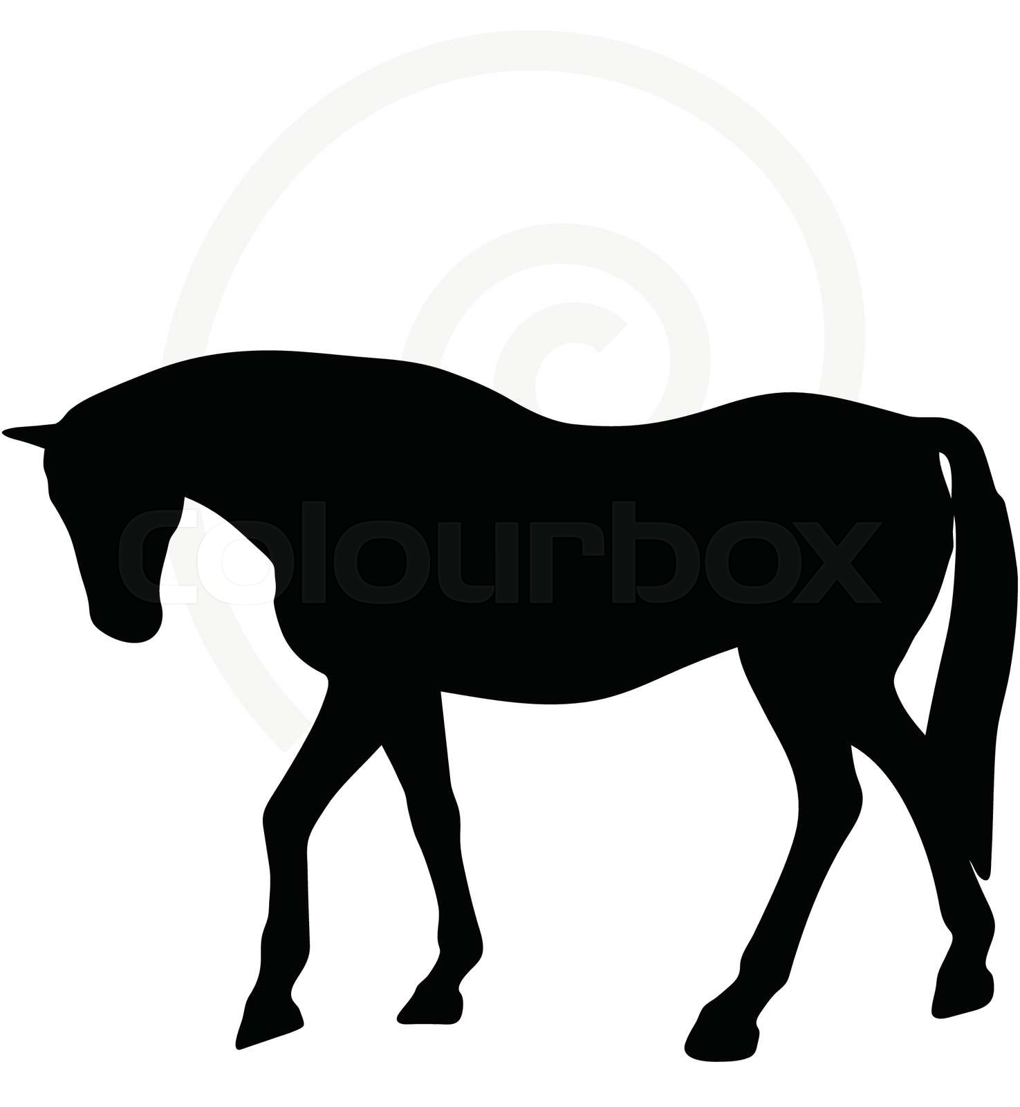 horse silhouette in walking head down Stock vector Colourbox