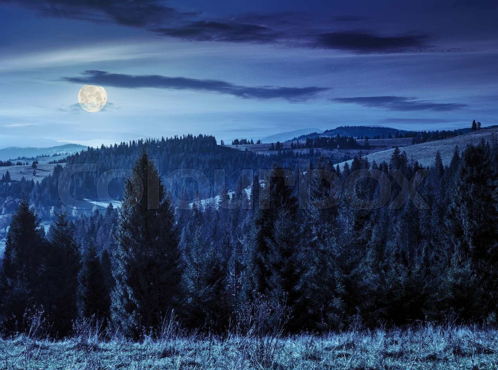 Wald Nacht Wandern Stock Bild Colourbox wald-nacht-wandern-stock-bild-colourbox