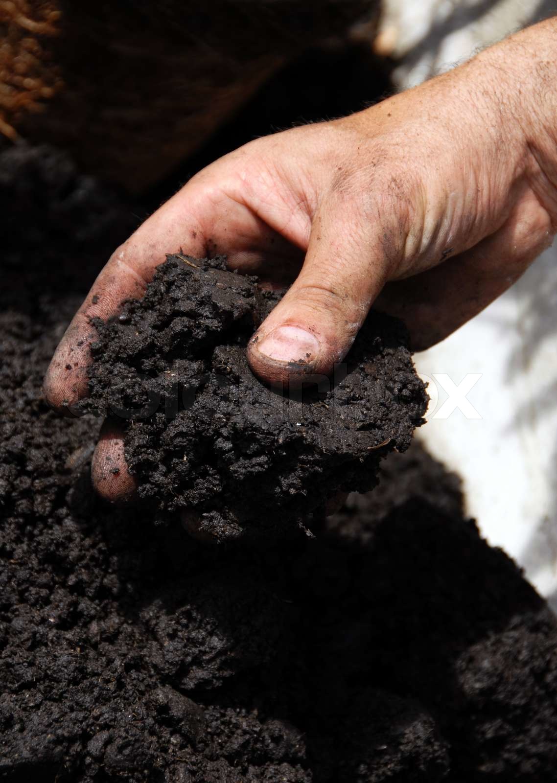 Black soil | Stock image | Colourbox