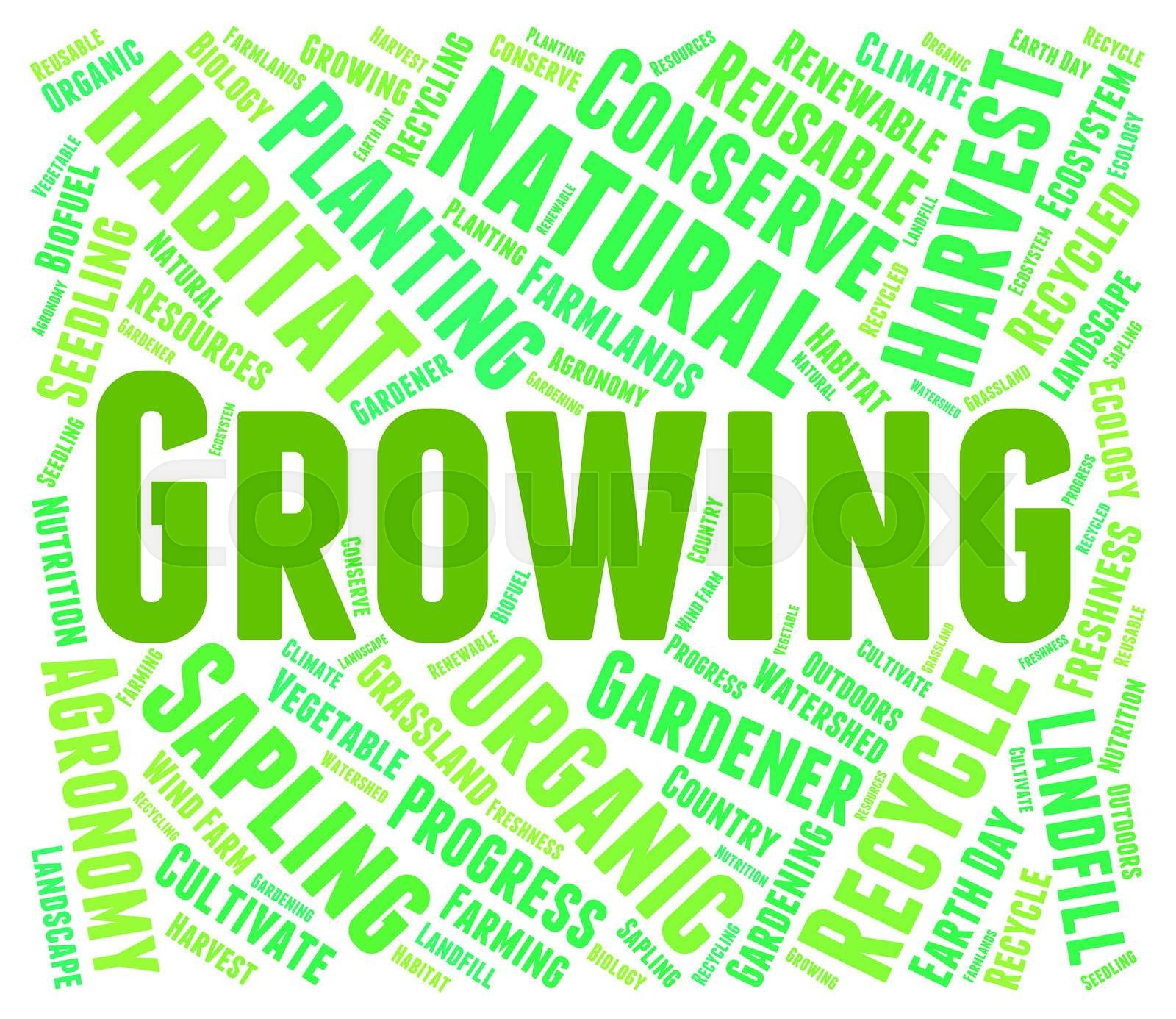 Growing Word Means Sow Cultivate And Farm Stock image Colourbox