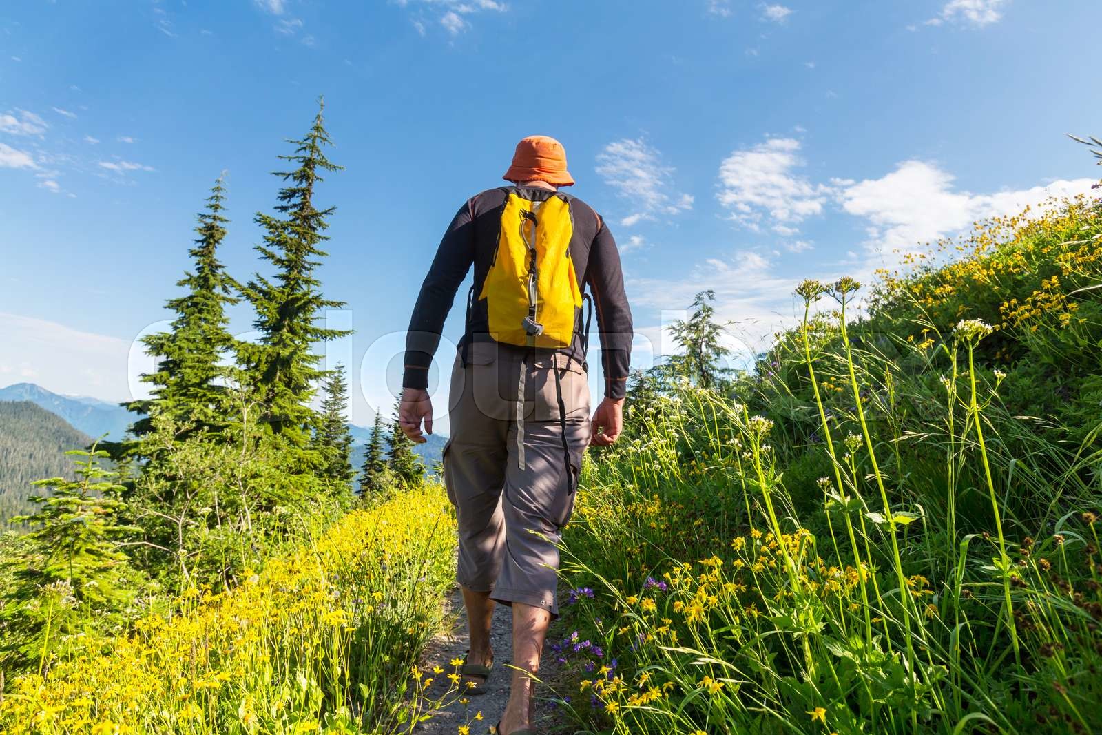 Hike | Stock image | Colourbox