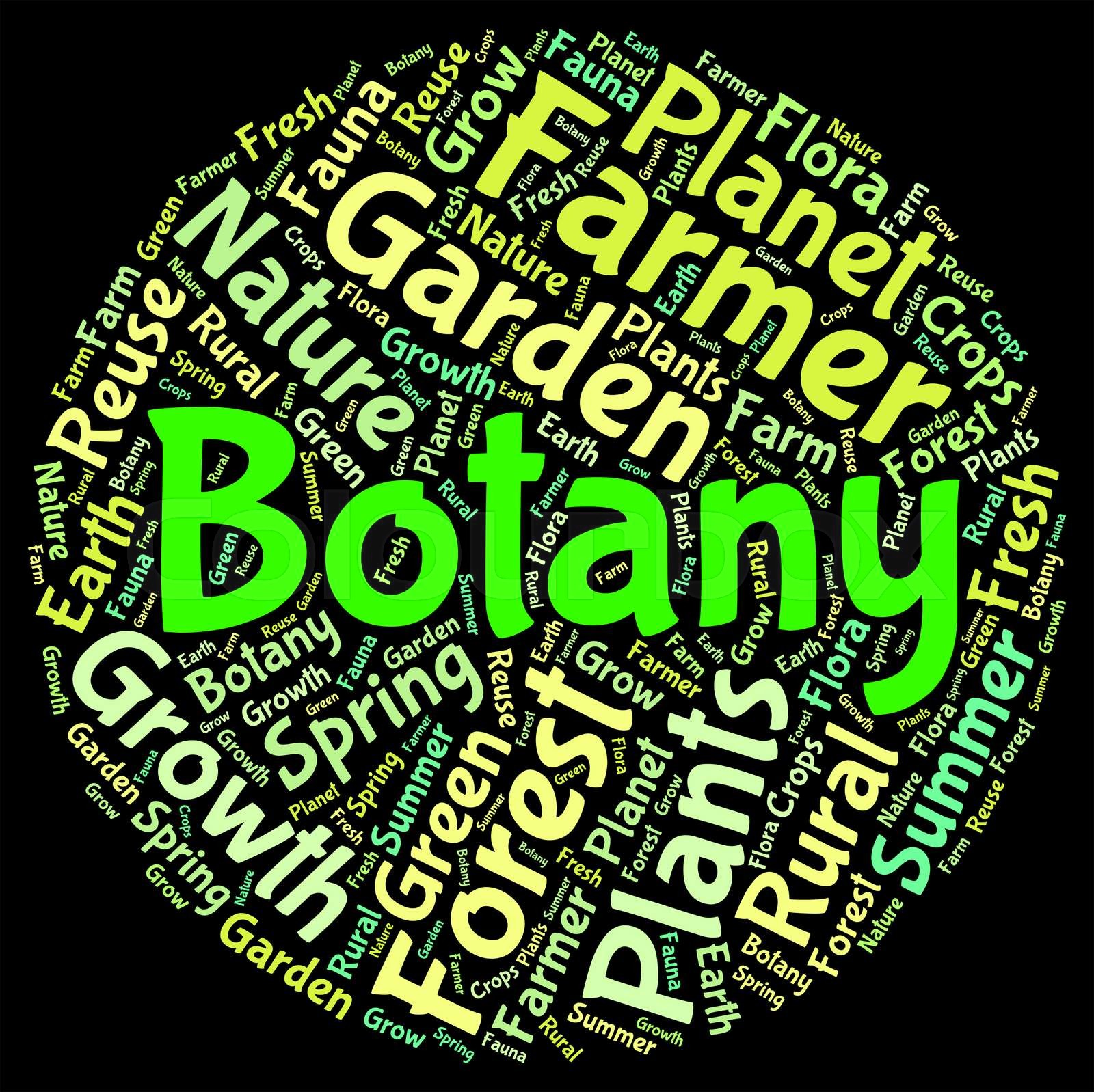 Botany Word Indicates Plant Life And Botanical Stock image Colourbox