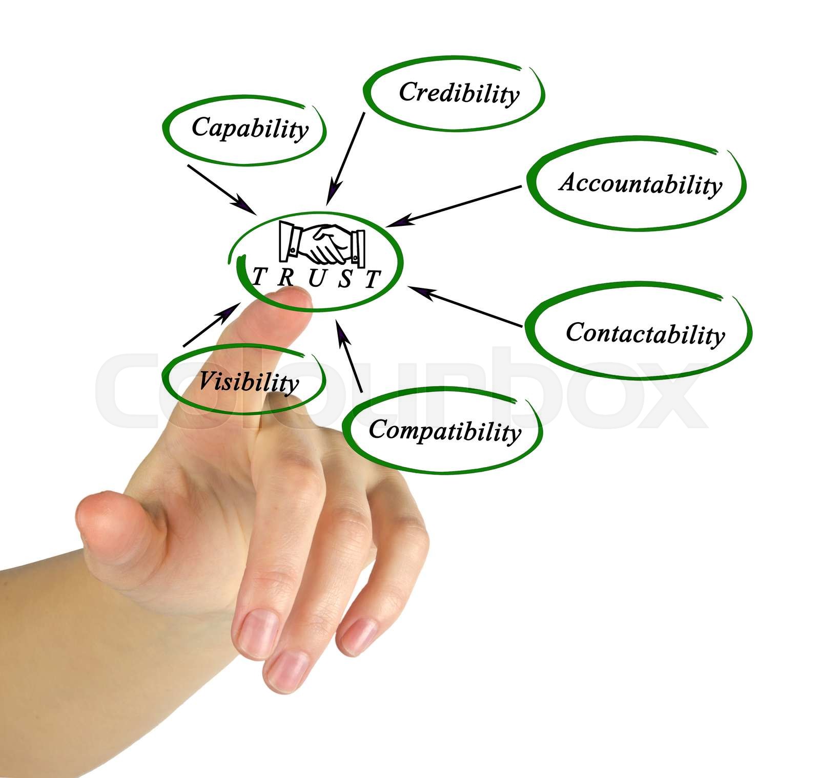 Diagram of trust stock image colourbox