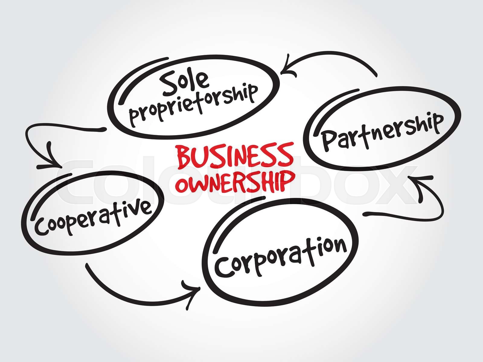 Business ownership | Stock vector | Colourbox