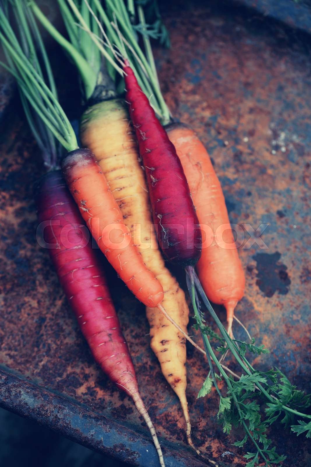 carrots on a metal Stock image Colourbox