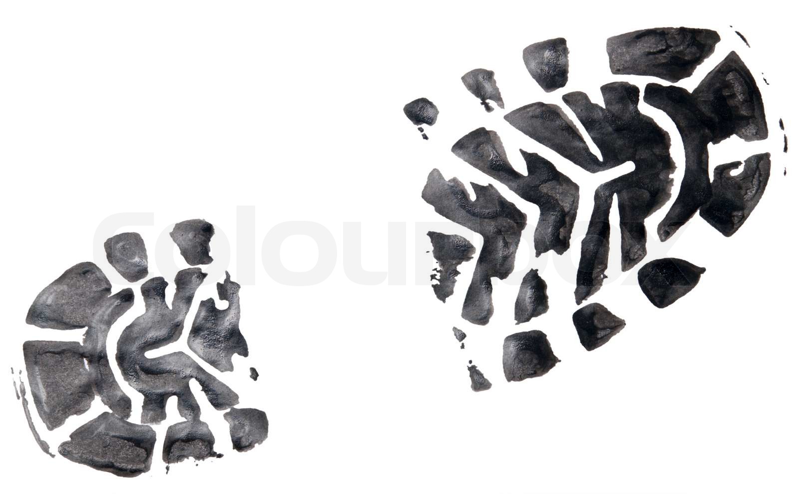 shoe print isolated on a white | Stock image | Colourbox