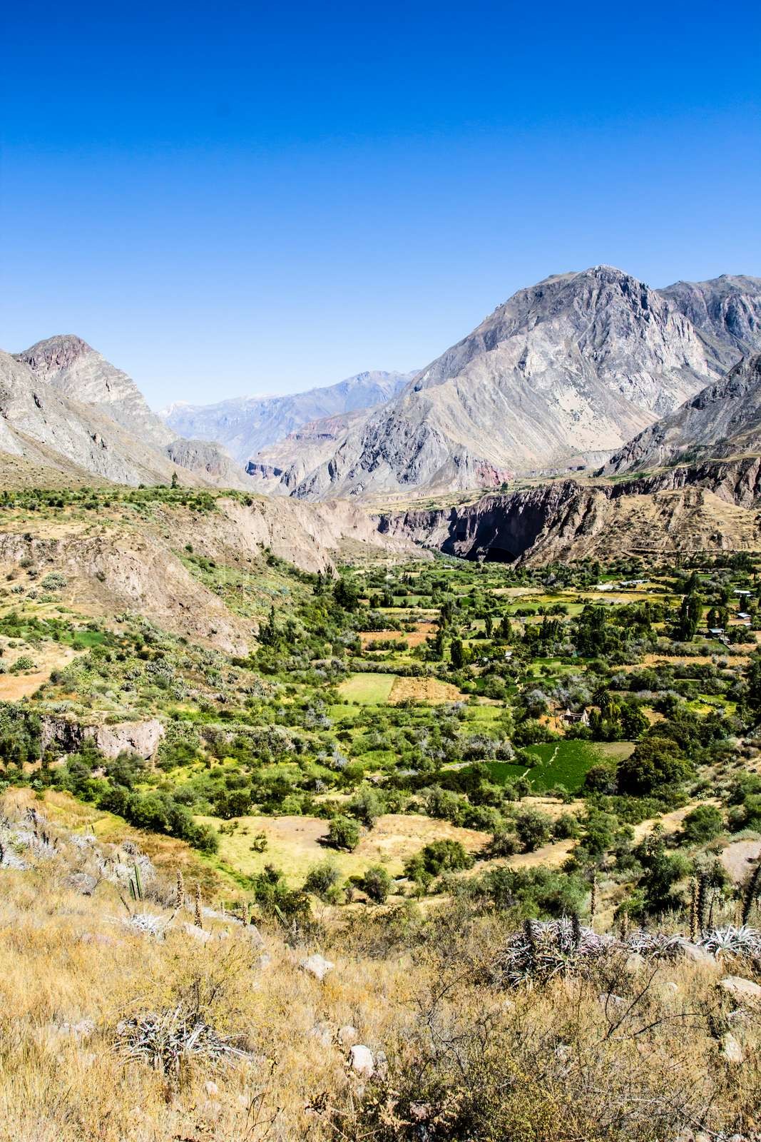 Reserva Paisajística Subcuenca Del Cotahuasi Peru, Cotahuasi canyon. The wolds deepest canyon. | Stock image | Colourbox