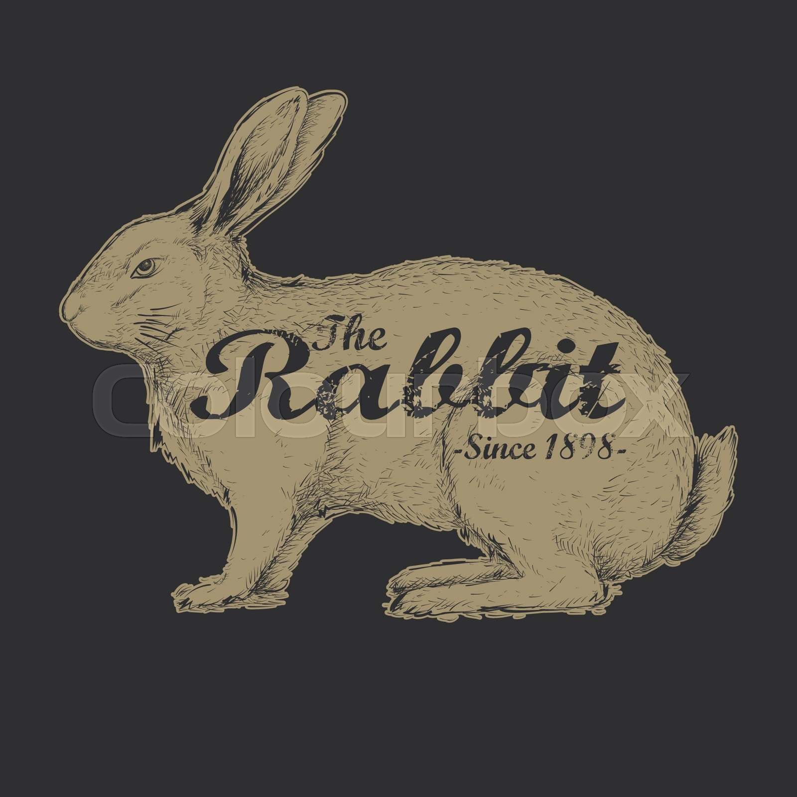 Rabbit vintage Stock vector Colourbox