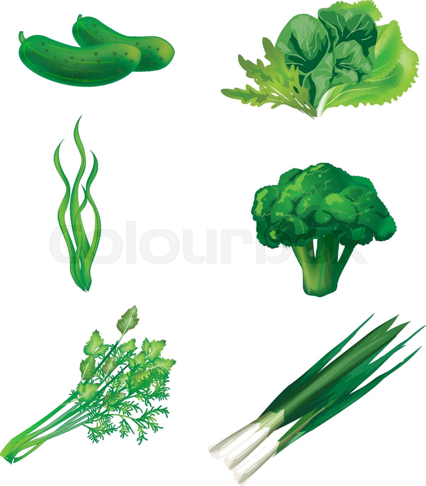 Set of green vegetables Stock vector Colourbox