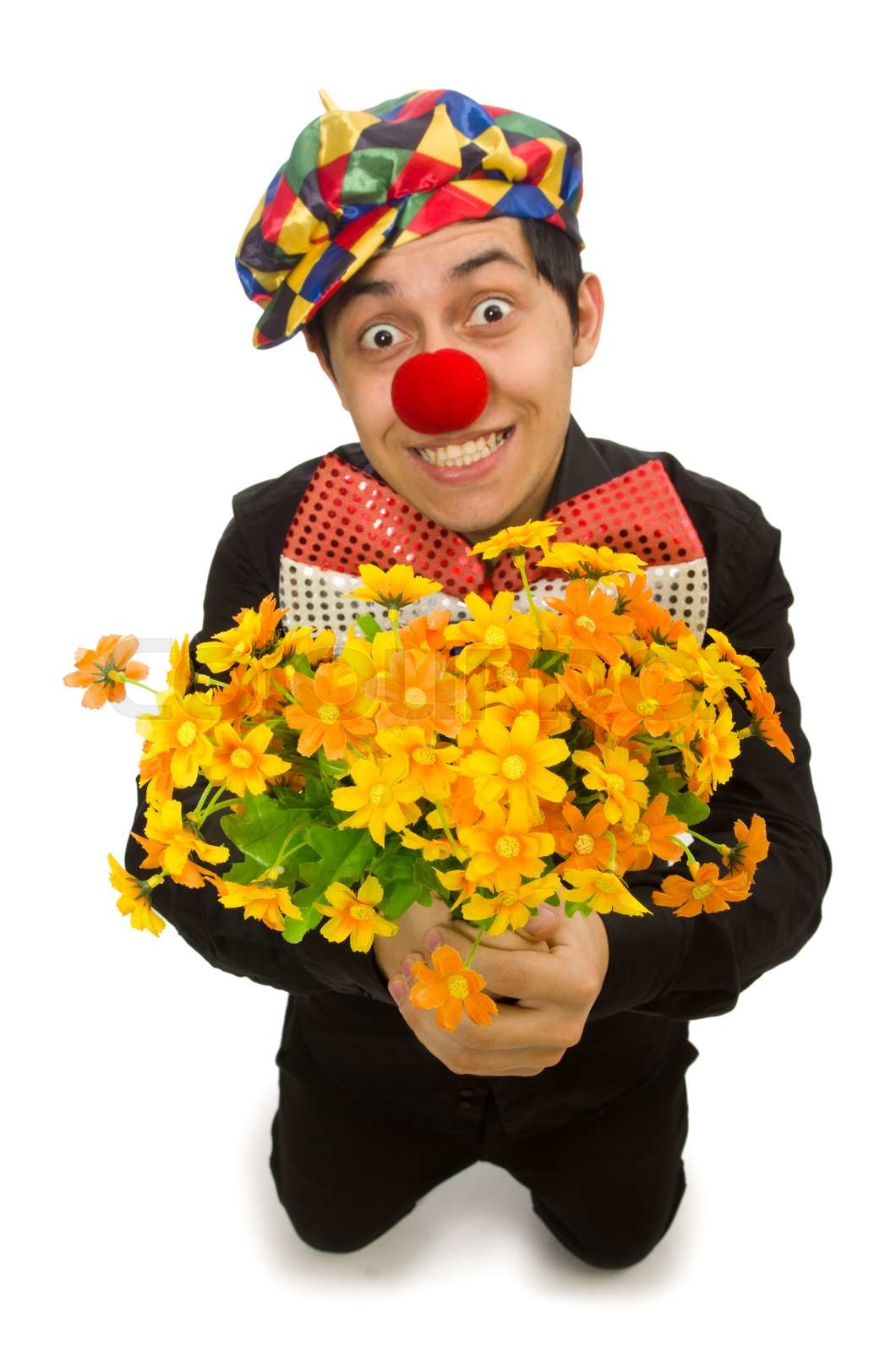 fun, freigestellt, dummkopf Stock Bild Colourbox