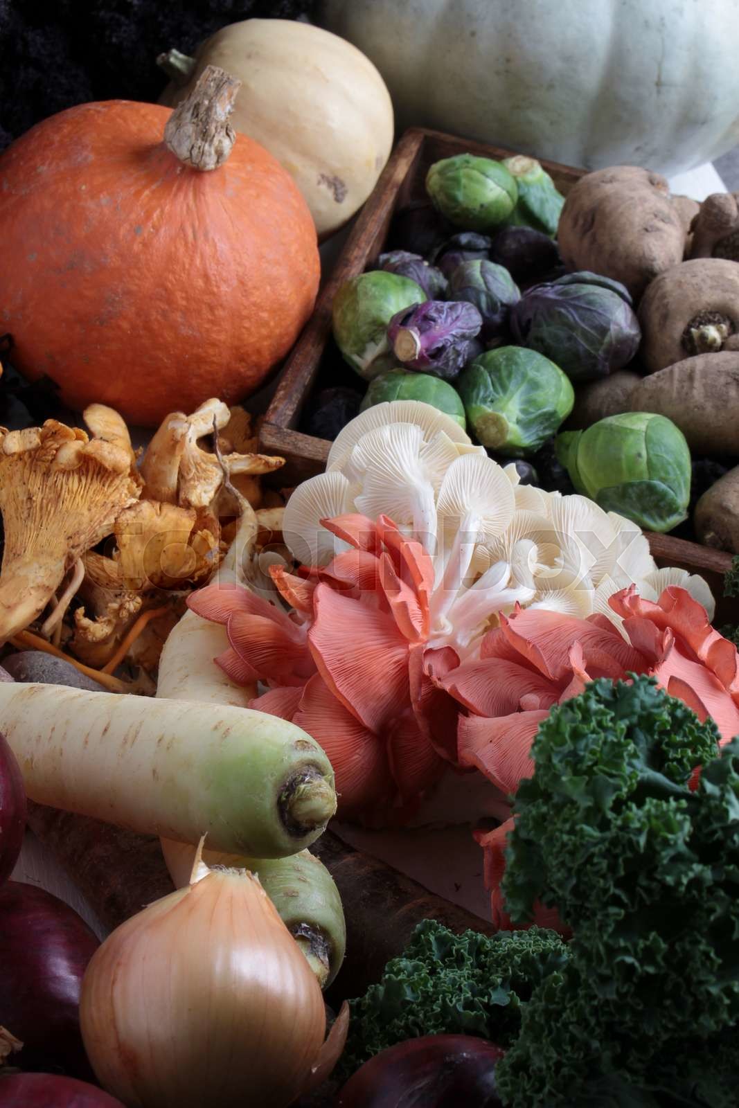 seasonal autumn vegetables Stock image Colourbox
