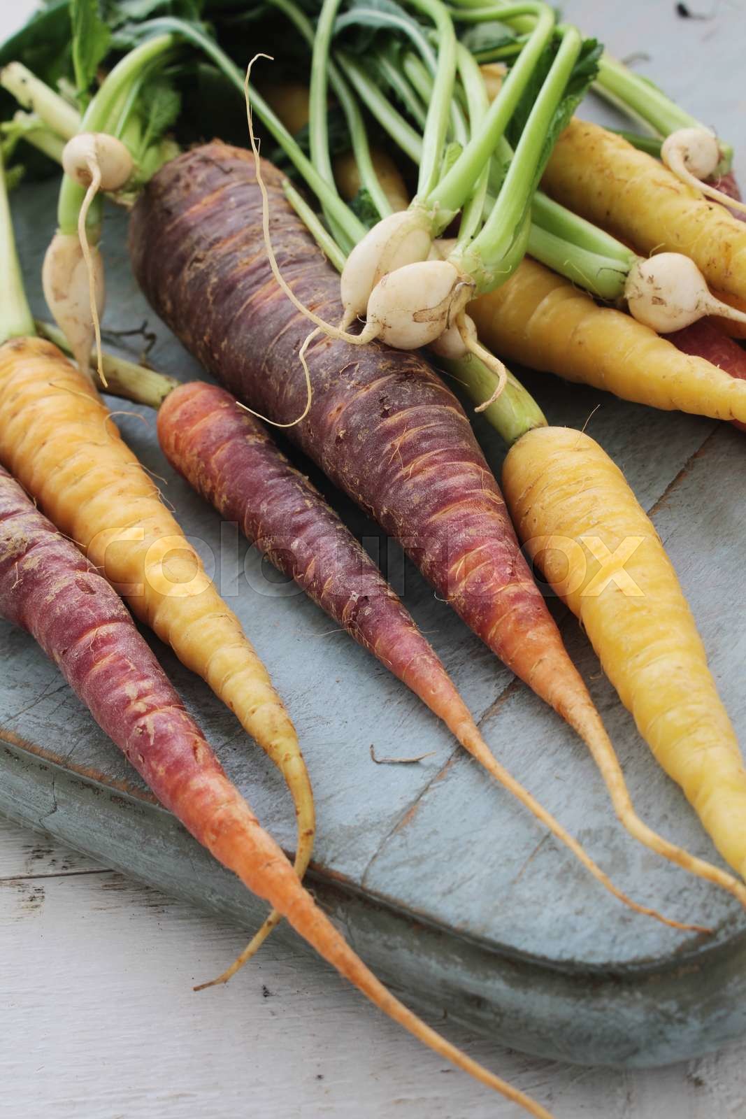chantenay carrots | Stock image | Colourbox