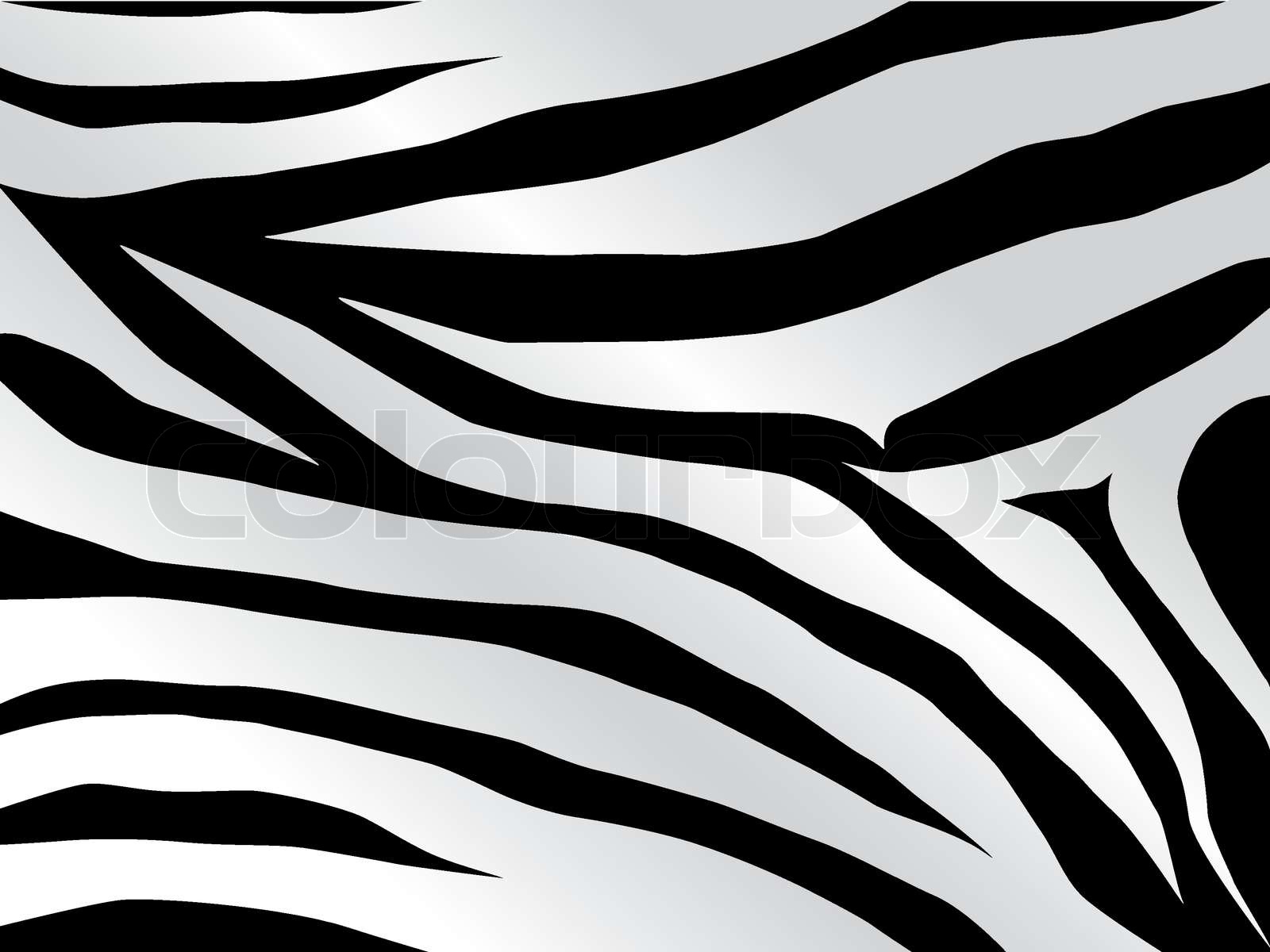 Vector black and white stripped tiger design | Stock vector | Colourbox