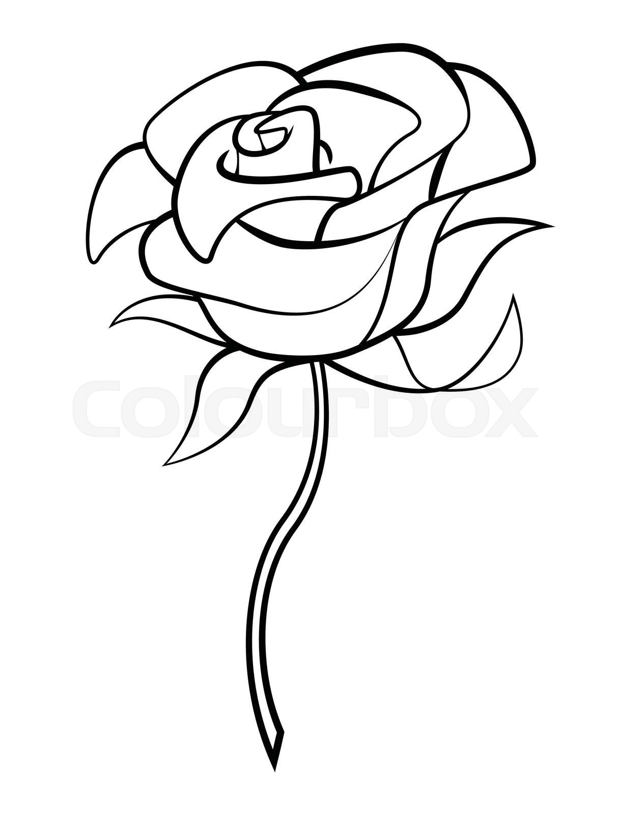 | Stock-Vektor | Colourbox