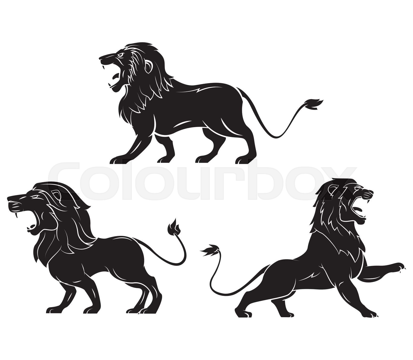 Tattoo Symbol Of Lion Head Stock vector Colourbox