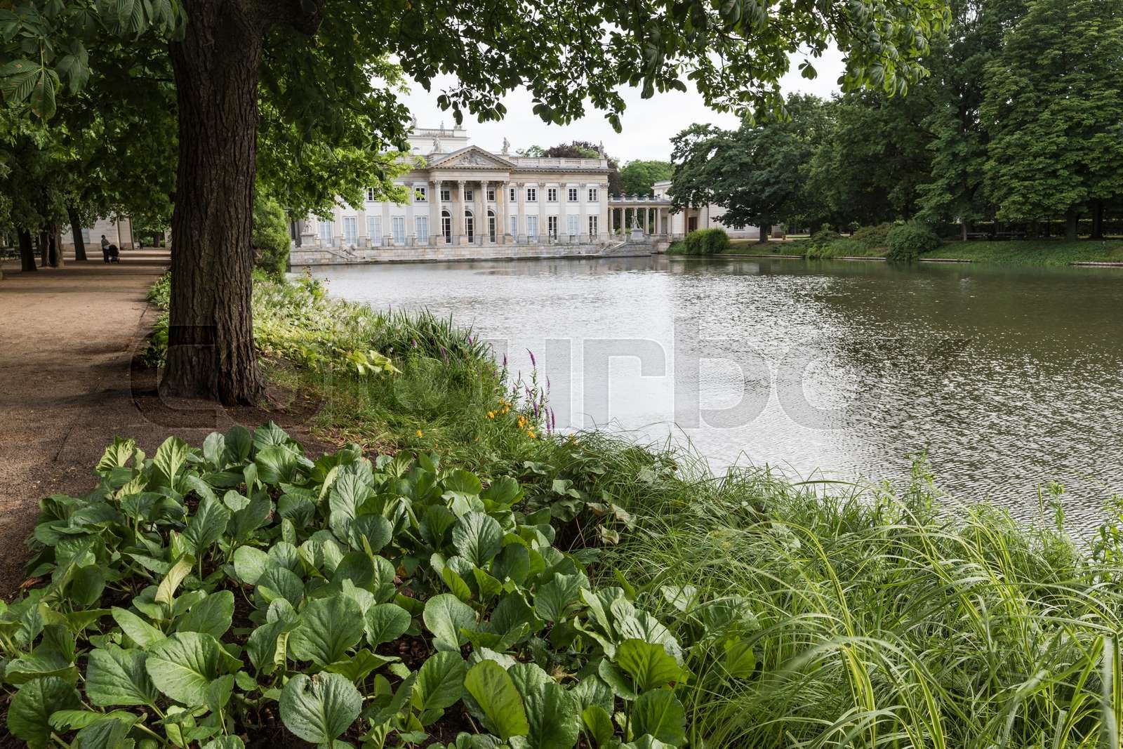 Nowa Oran Eria Agrykola 1 00 460 Warszawa