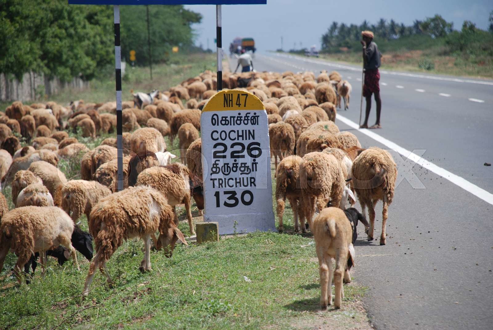 Indian National Highway 47 Stock image Colourbox