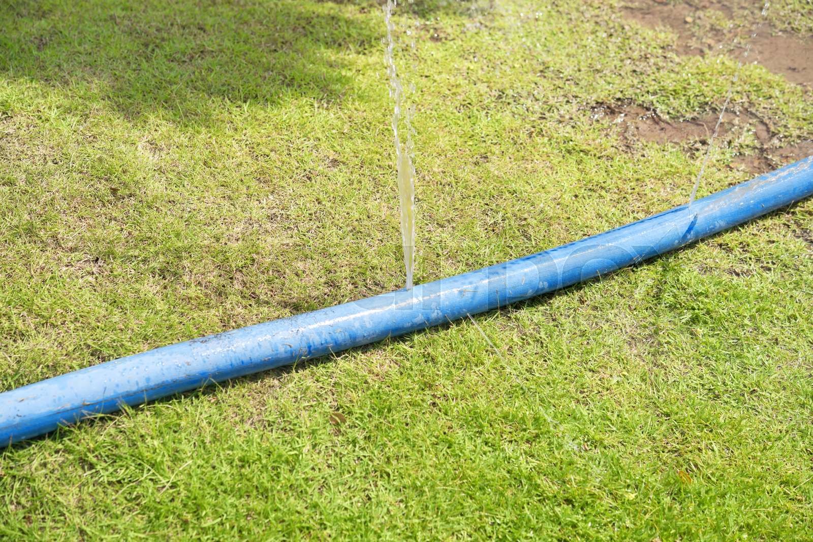 hole in a hose Stock image Colourbox
