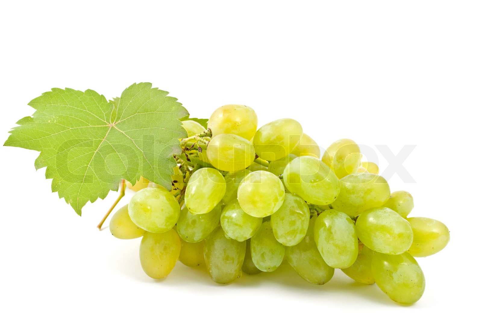 Trauben auf weißem Hintergrund | Stock Bild | Colourbox