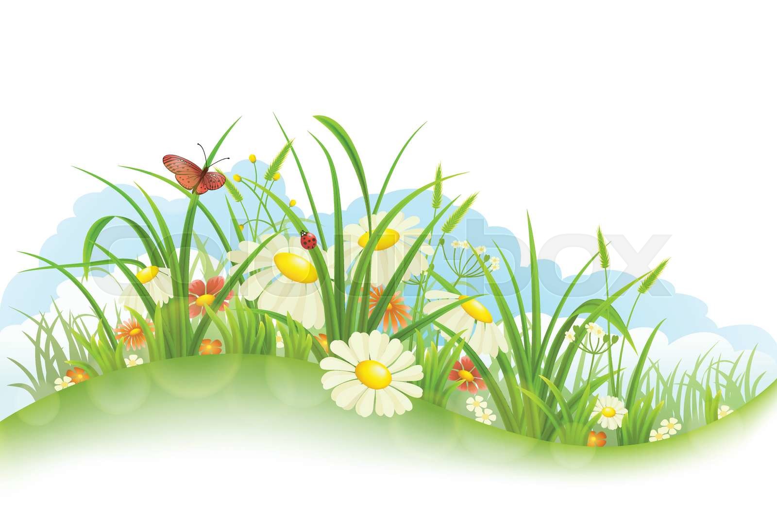 Grass and flowers | Stock vector | Colourbox