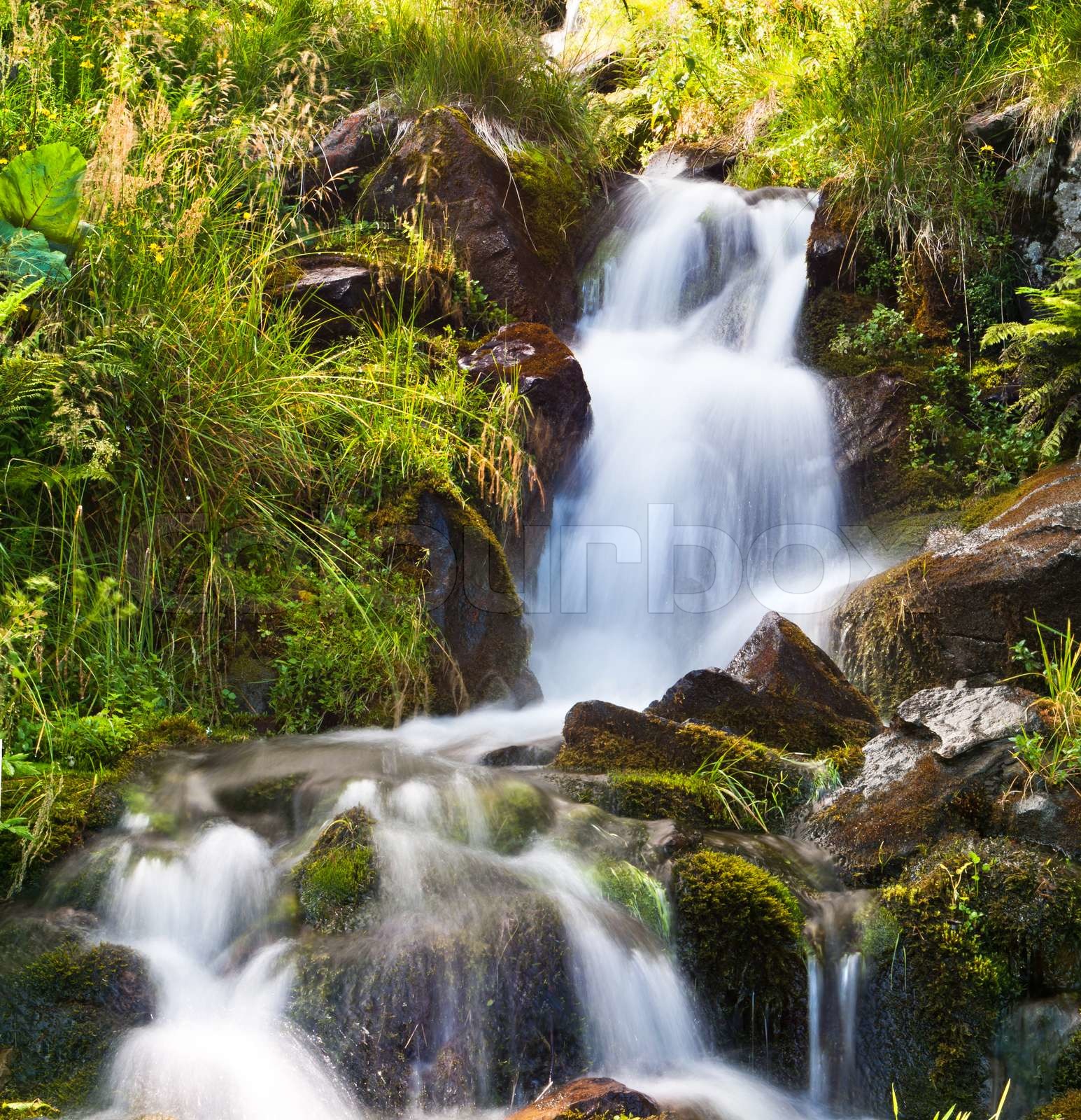 Kleine Nat rliche Quelle Wasserfall Mit Moos Und Gras Umgeben Stock Kleine Nat rliche Quelle Wasserfall Mit Moos Und Gras Umgeben Stock