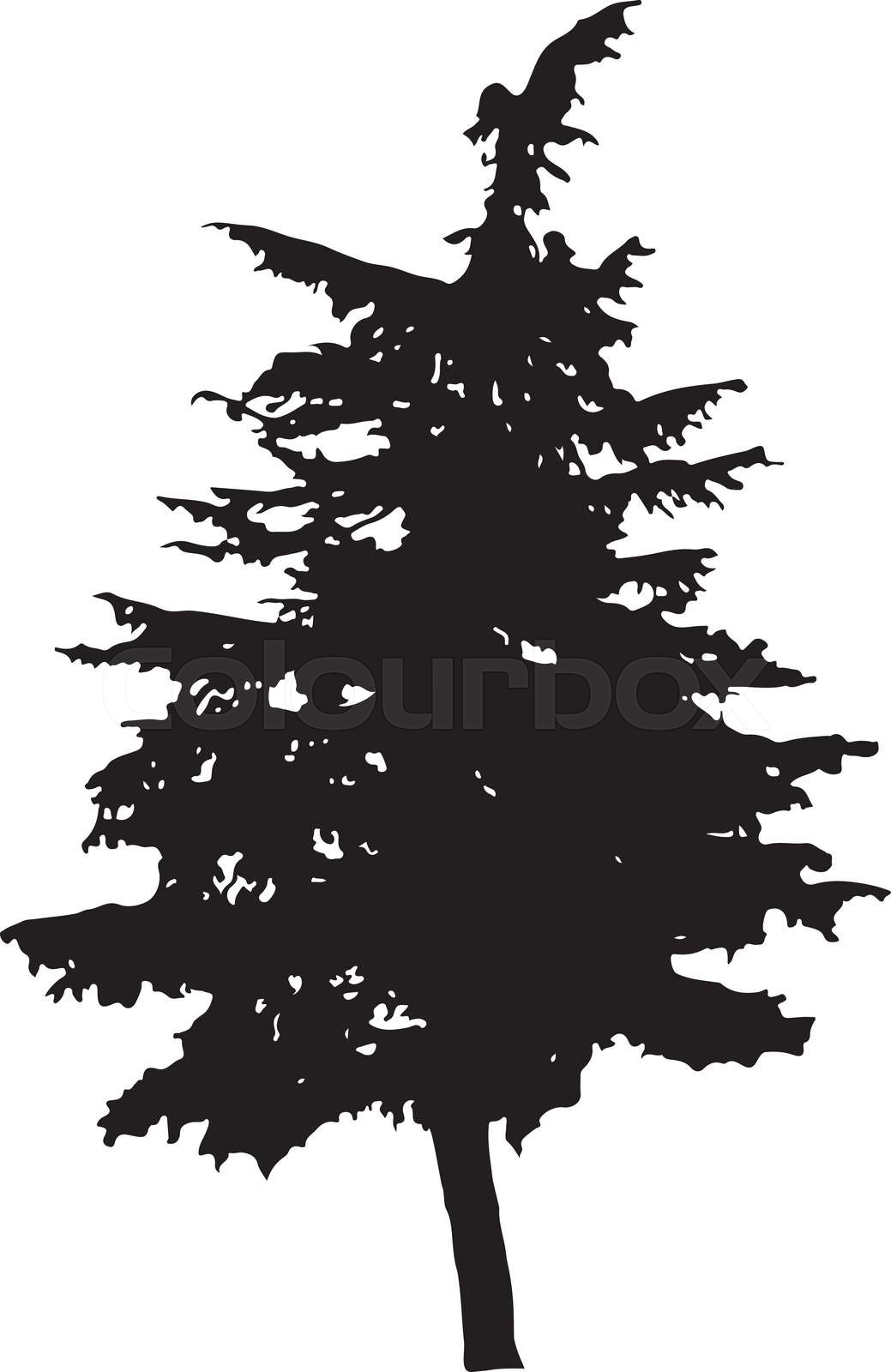 Black And White Pine Tree Silhouette