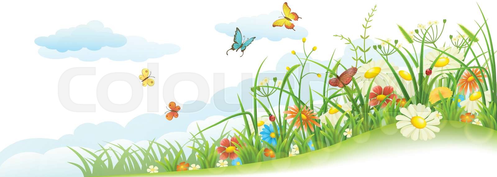 Spring grass and flowers | Stock vector | Colourbox
