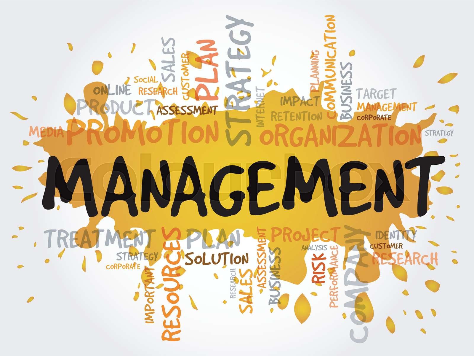 Word Cloud With Management Related Tags Stock Vector Colourbox