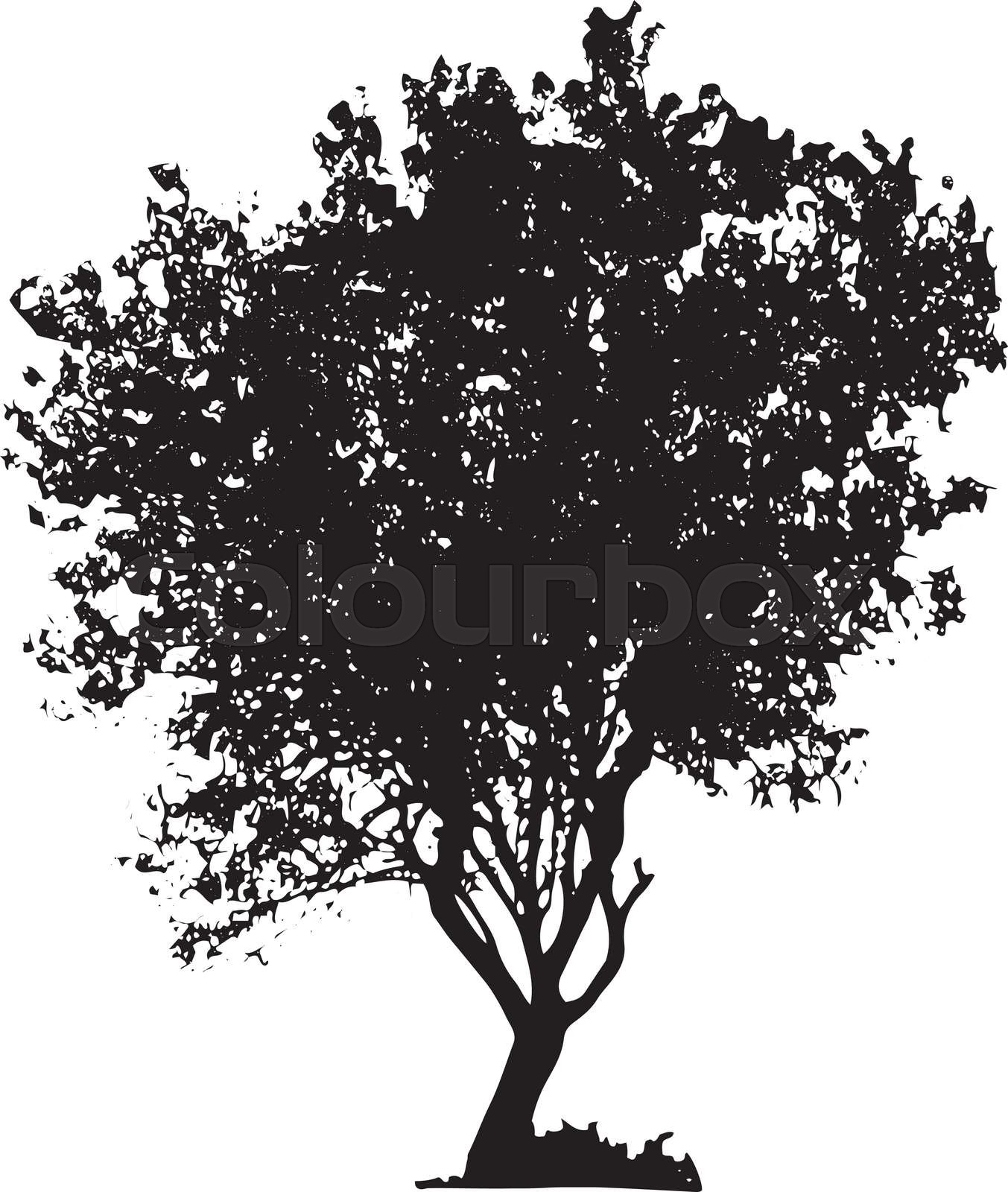 Tree silhouette | Stock vector | Colourbox