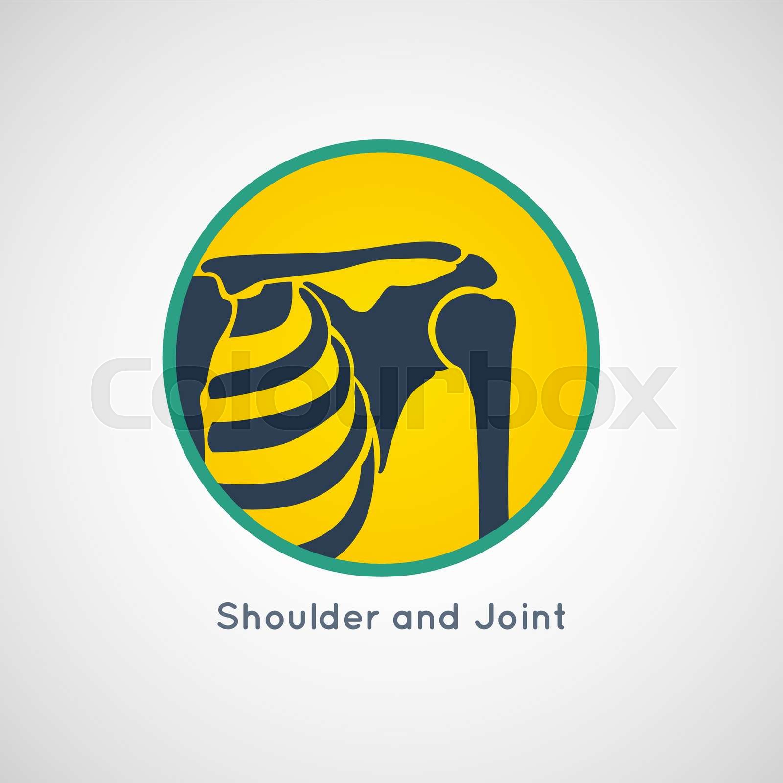 Shoulder and Joint vector | Stock vector | Colourbox