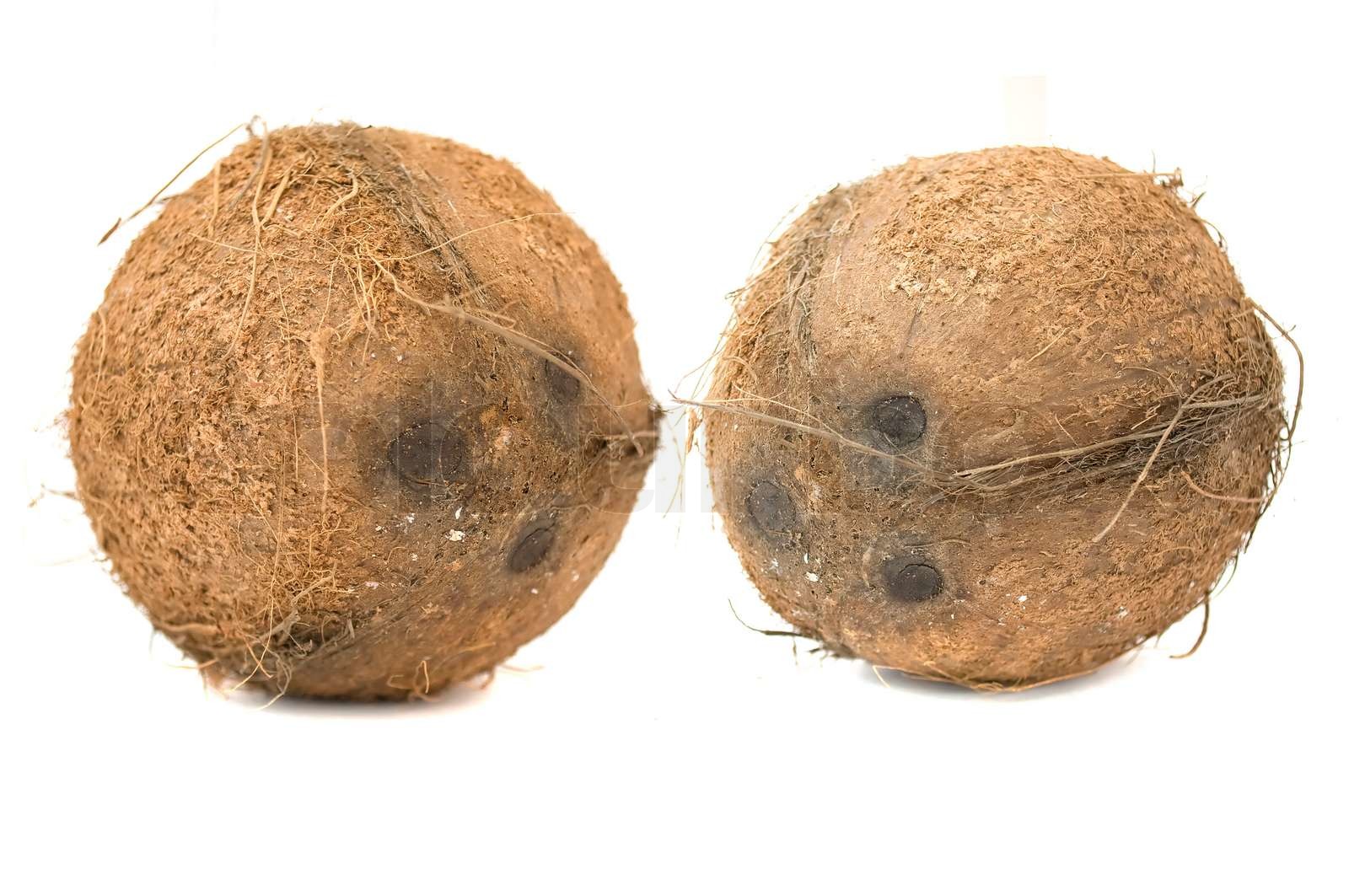 Kokosnüsse, die isoliert auf weißem Hintergrund | Stock Bild | Colourbox