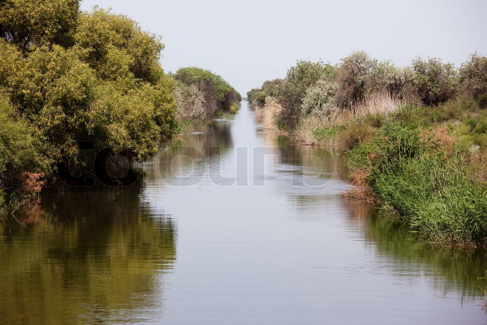 Canal from Syr Darya river, Kazakhstan Stock image Colourbox