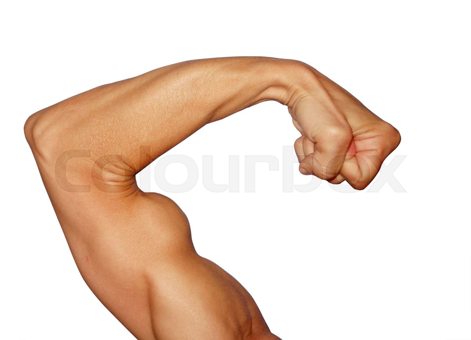 Biceps Stock image Colourbox