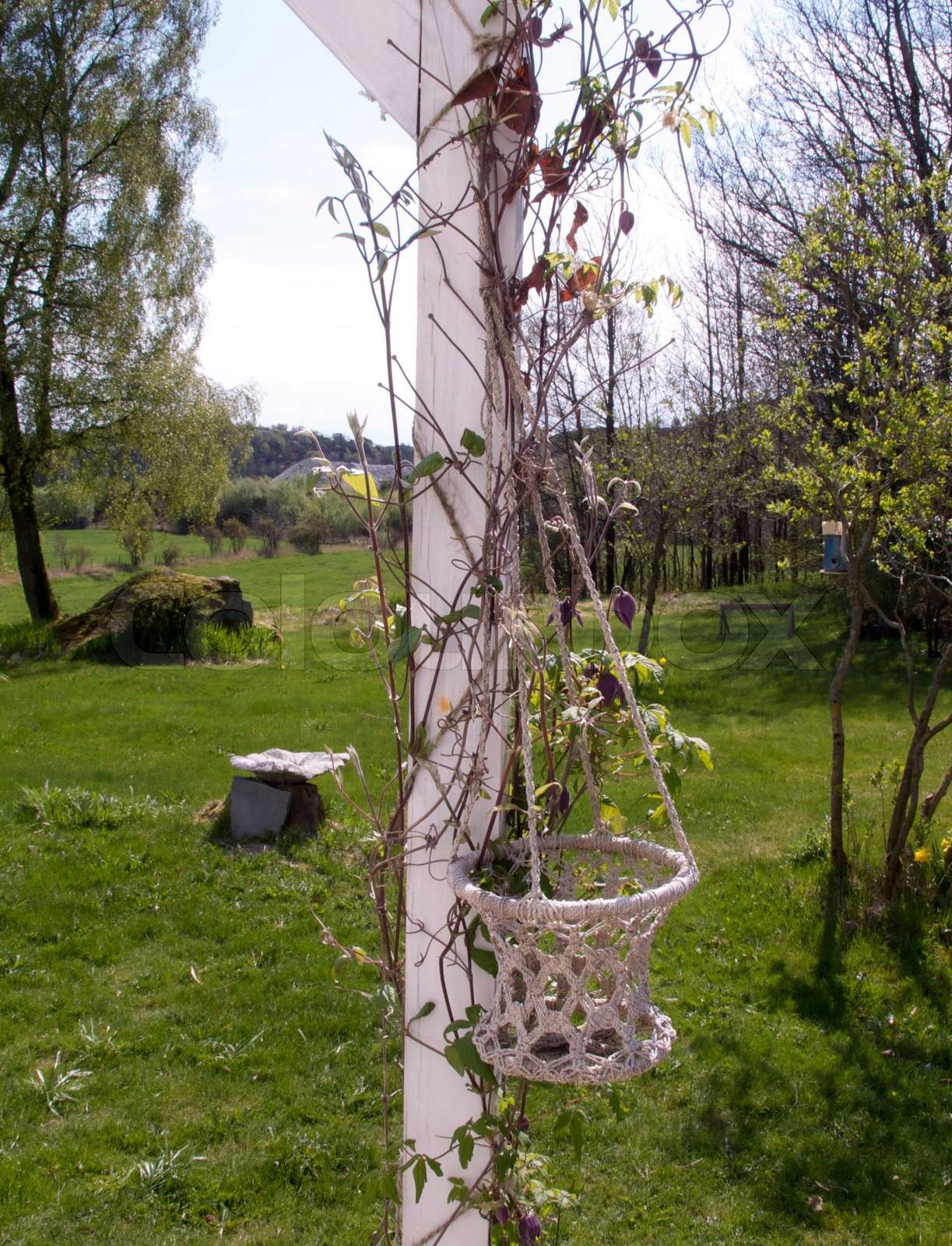 Garten | Stock Bild | Colourbox