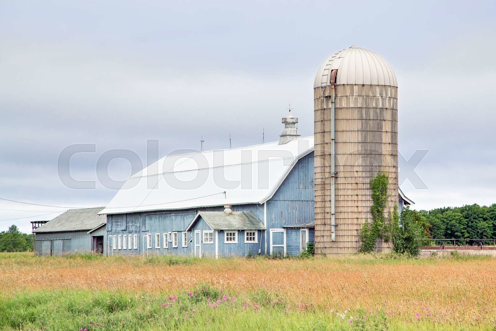 Blue Barn Stock image Colourbox