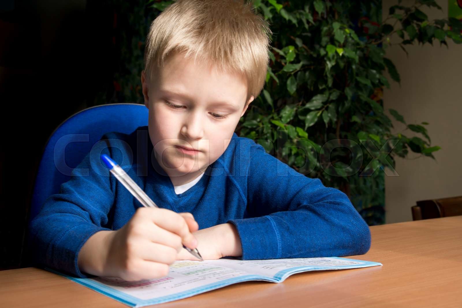 Boy doing his school homework stock image colourbox