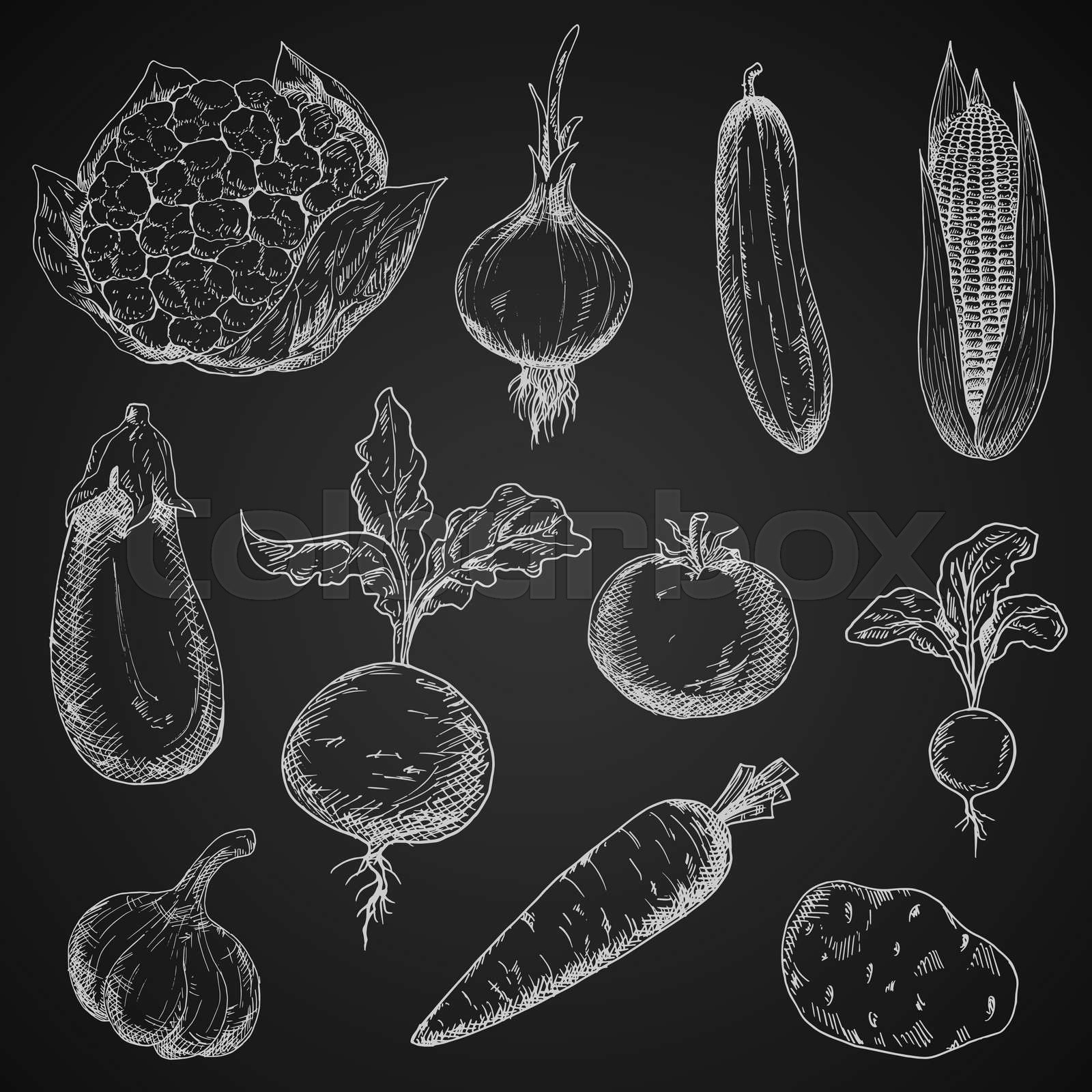 Fresh organic vegetables sketches set | Stock vector | Colourbox
