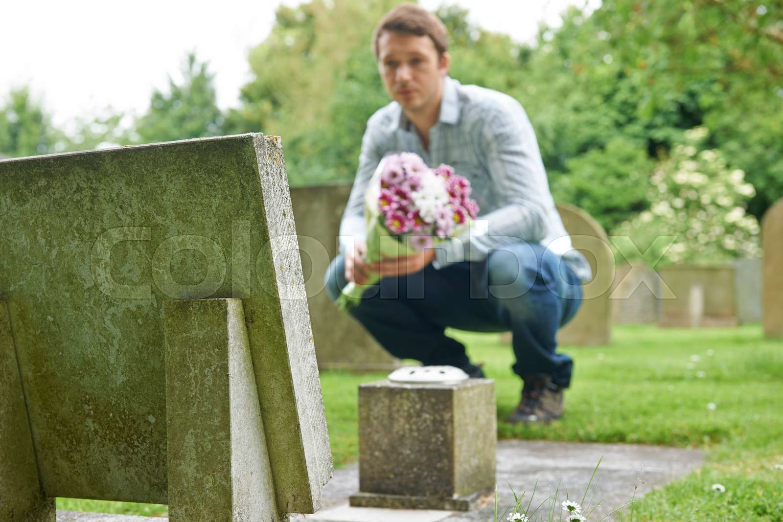 Man Placing Flowers By Headstone In Cemetery Stock image Colourbox