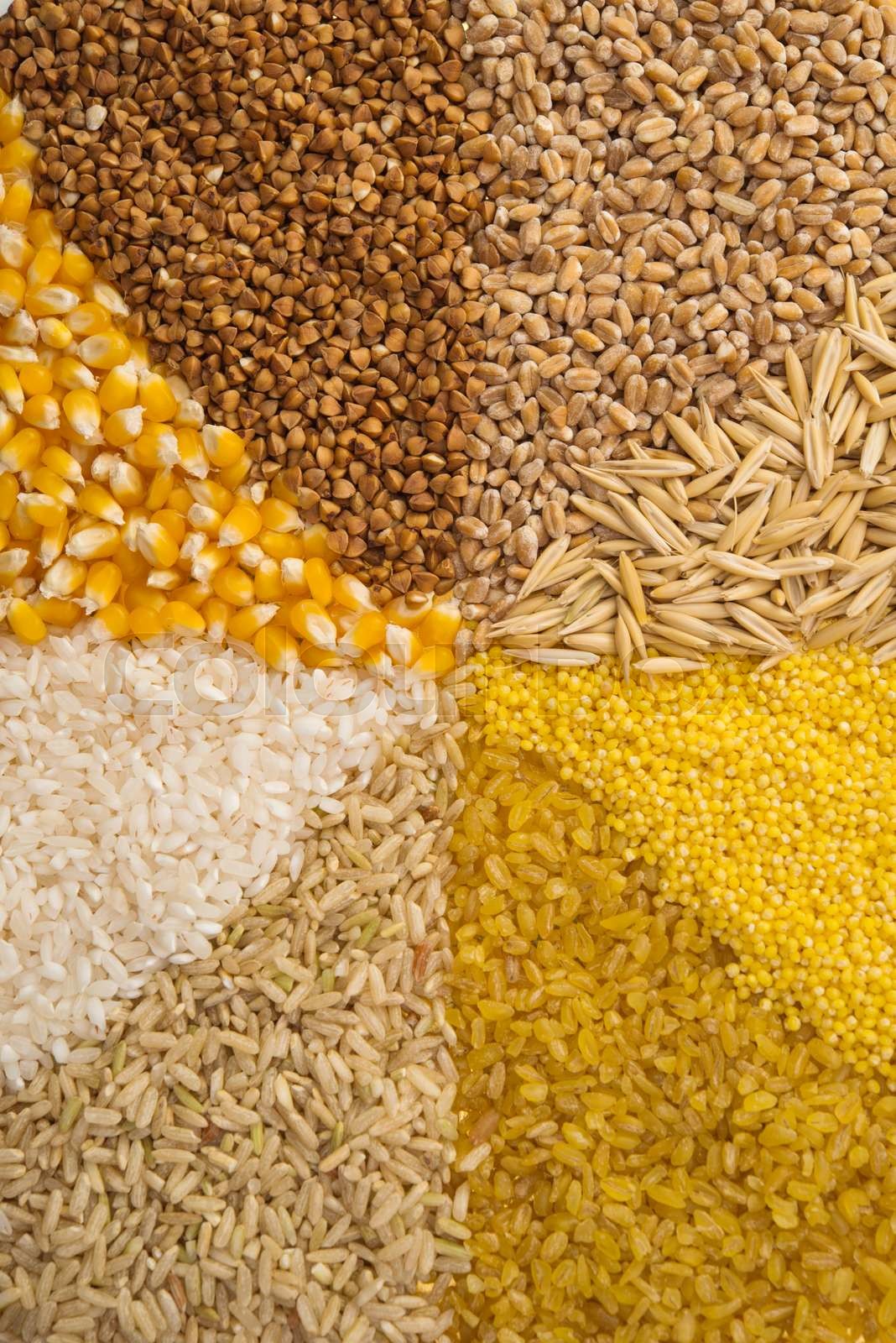 Collection Set of Cereal Grains Stock image Colourbox