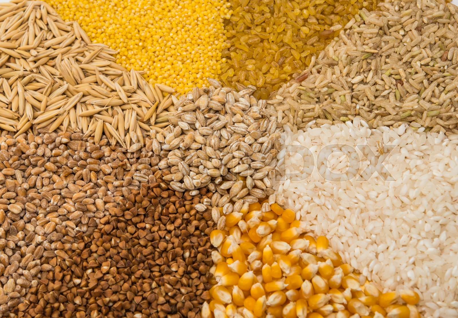 Collection Set Of Cereal Grains Stock Image Colourbox