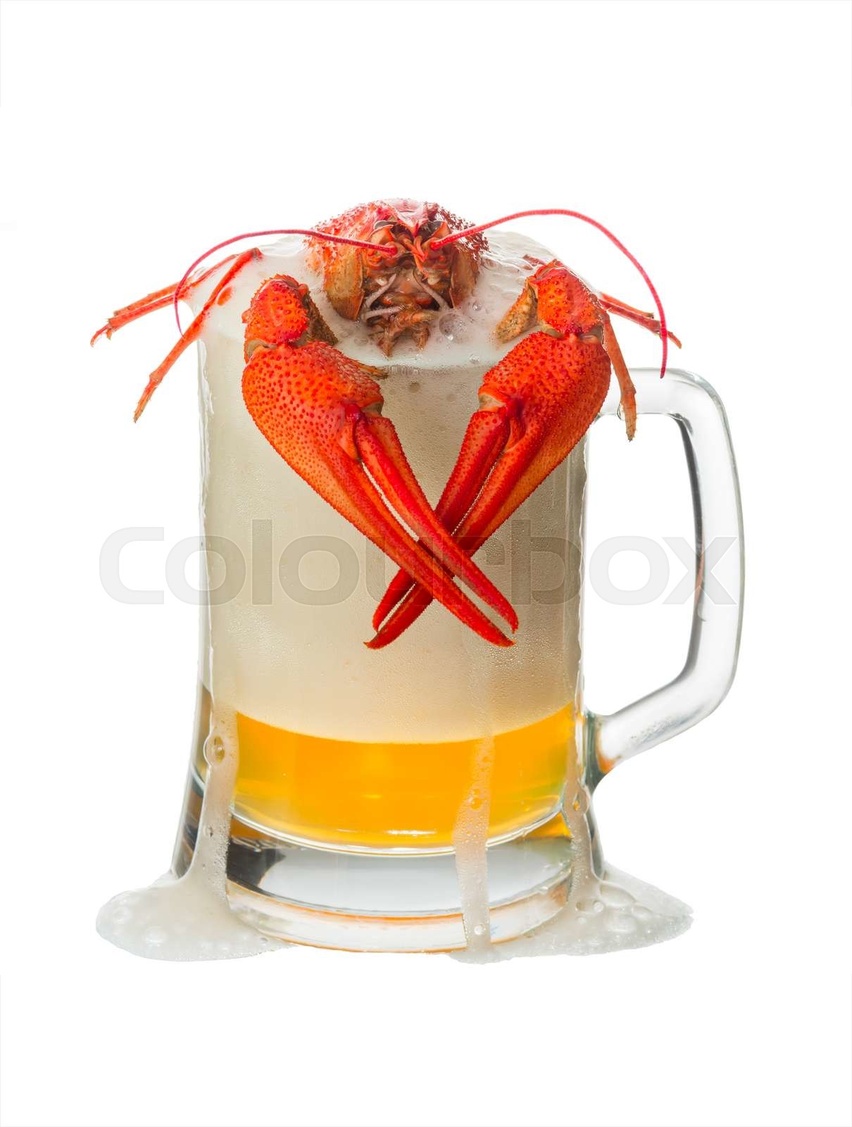Lobster with beer Stock image Colourbox