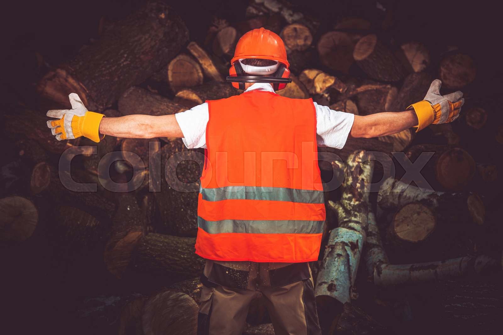 The Best Lumber Worker Stock image Colourbox