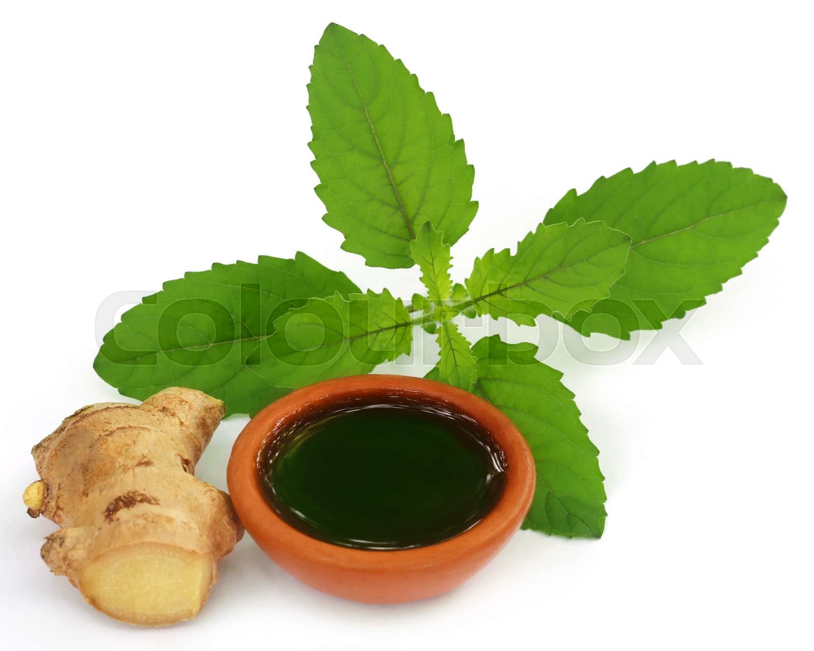 Ayurvedic combination of holy basil and ginger Stock image Colourbox